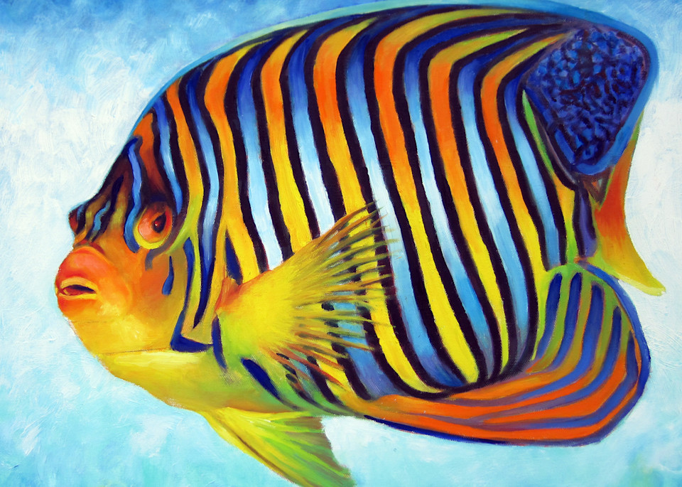 Royal Angelfish Art | Nancy Tilles