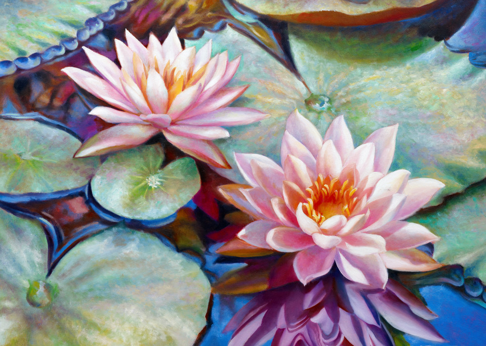 Twin Waterlilies Art | Nancy Tilles