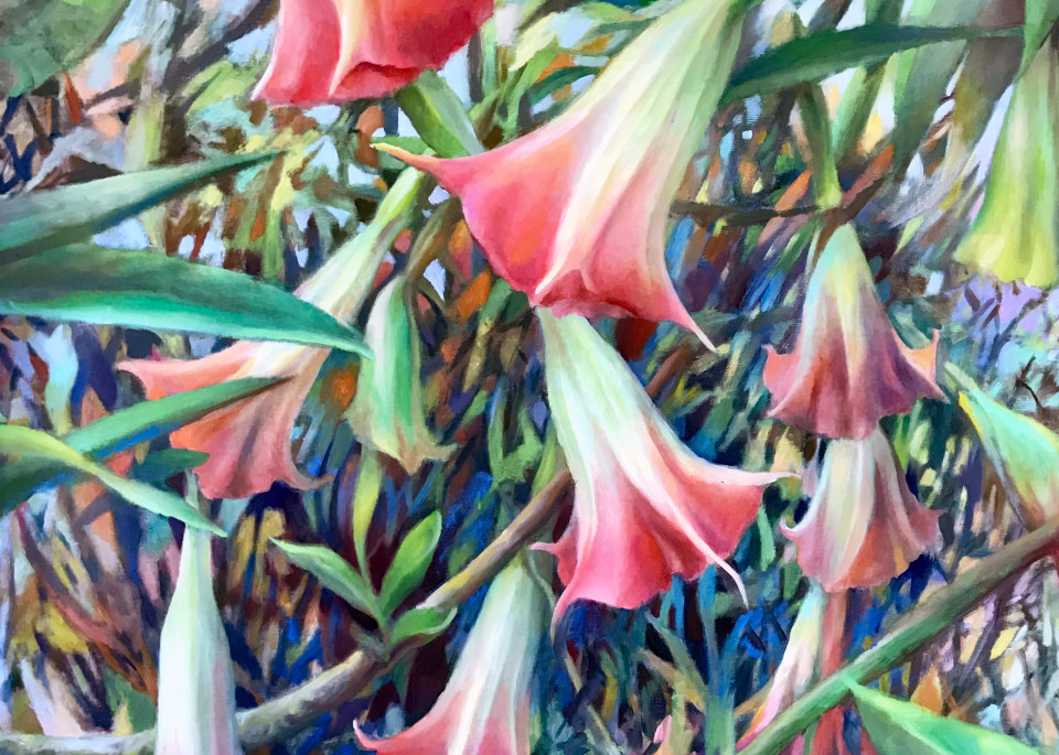 Pink Trumpet Flowers Art | Nancy Tilles
