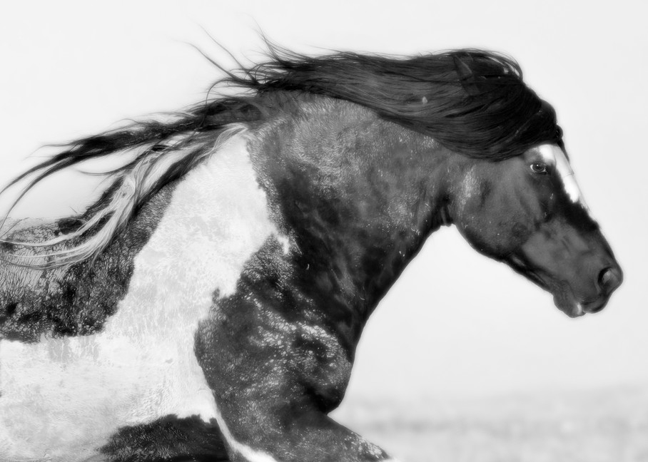 Washakie's Run Photography Art | Deb Little Photography