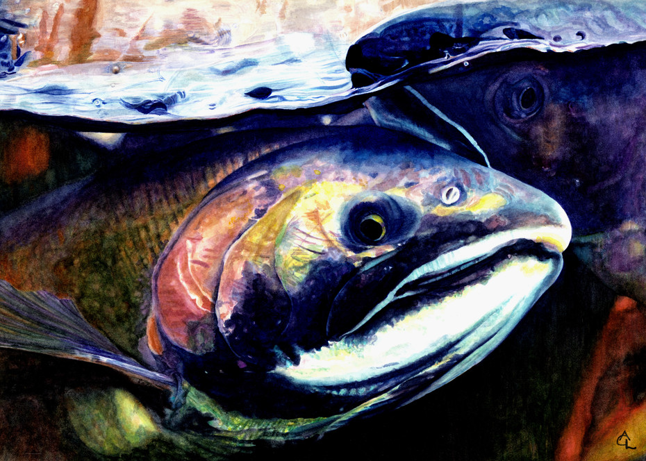 Coho Salmon   "Our World" Art | Gossamer Lane Fine Art