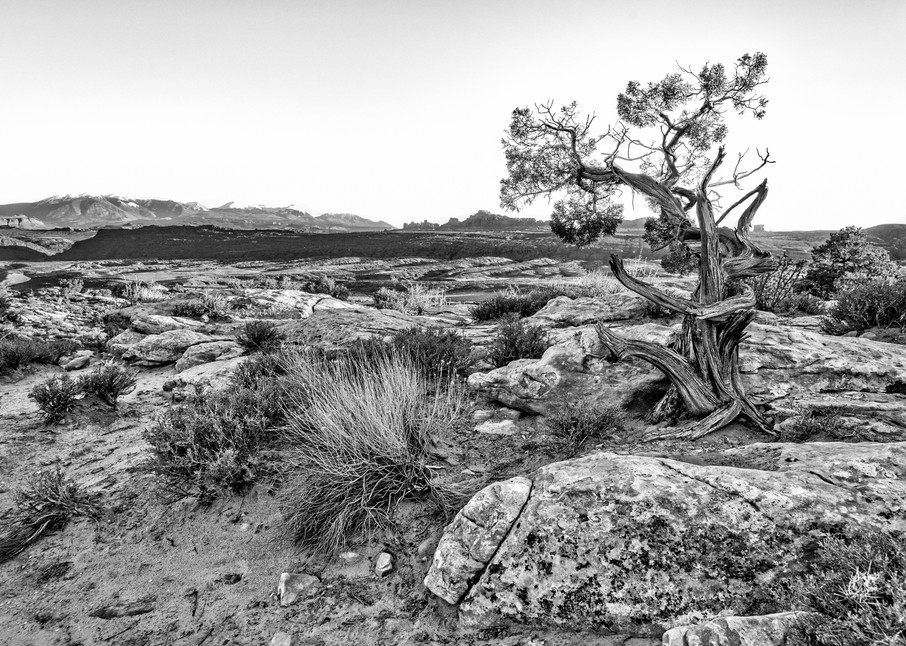 Alone in the Desert - Arches National Park fine-art photography prints