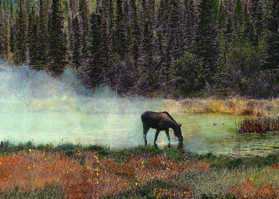 Moose in Mist in Field in Alaska by Terry Rosiak