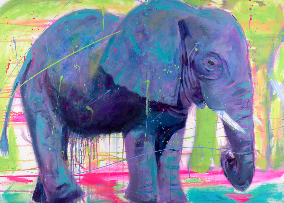 elephant, purple, safari, colourful, colors