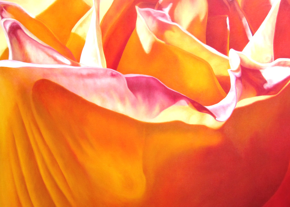 Orange Passion   Prints Art | Mercedes Fine Art