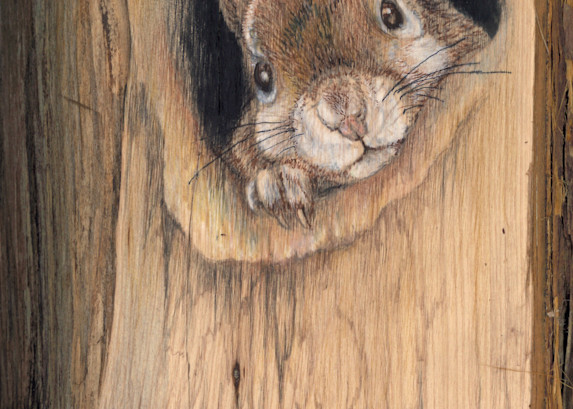Can I Come Out Now? Art | Lori Vogel Studio