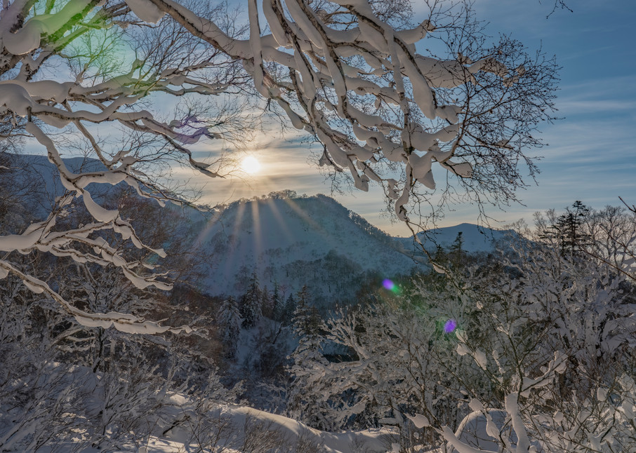Last Light In Japan  Photography Art | Alex Neuschaefer Photography