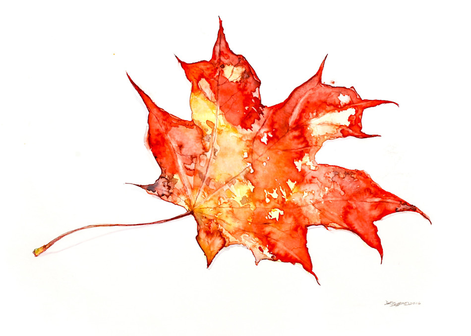 Autumn Leaf Art | DK Betts Works Art
