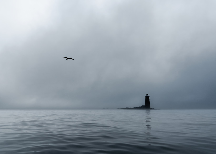 Whaleback With Fog And Gull Photography Art | Dave White Photo