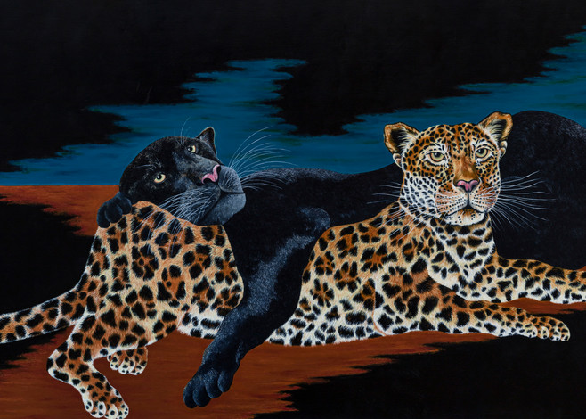 Cats   Prints Art | Mercedes Fine Art