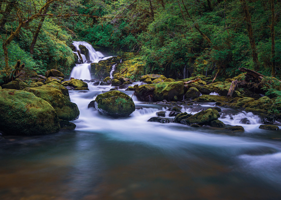 Sweet Creek Falls, Cascades. Oregon Photography Art | marcyephotography