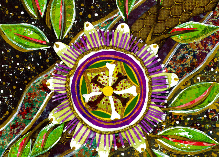 Collage of a passion flower