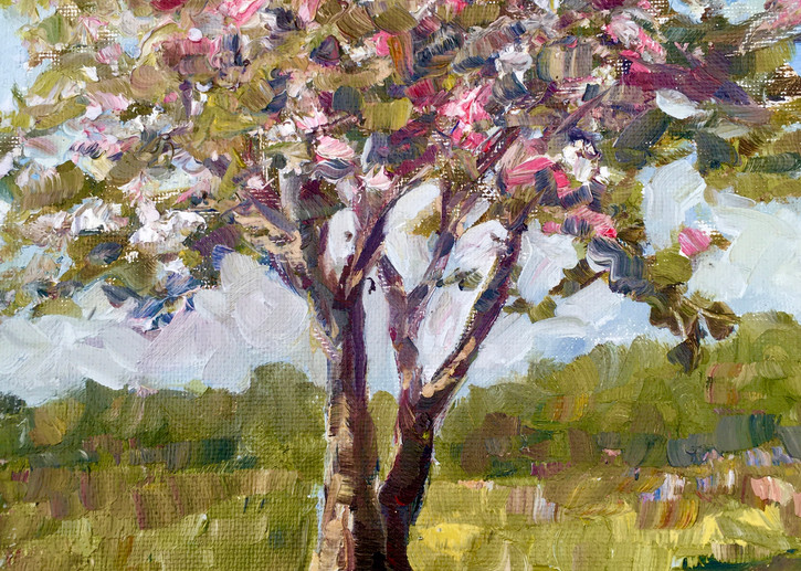 My Apple Tree In Spring Art | vibrant art studio, Art by Annette Dion McGowan