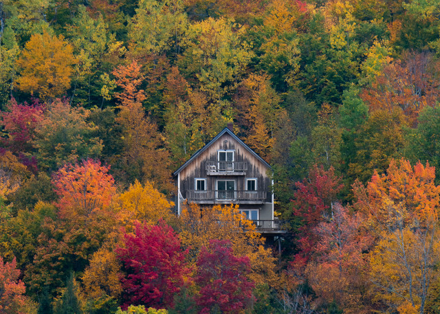 Autumn in Maine II