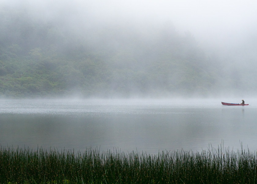 Searching - A foggy morning boat ride in Northern California photograph print