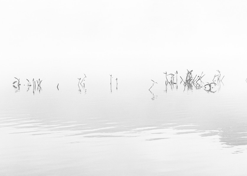 Zen - Black and White early morning reflection on water in Northern California photograph