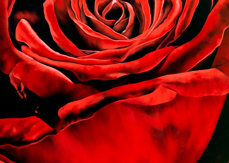 Red Rose 2   Prints Art | Mercedes Fine Art