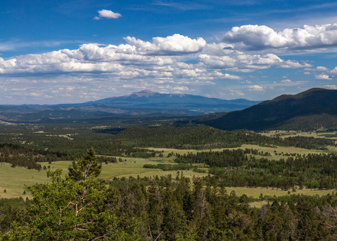 Summer In Pikes Peak Country Photography Art | SnowMoon Ink, LLC