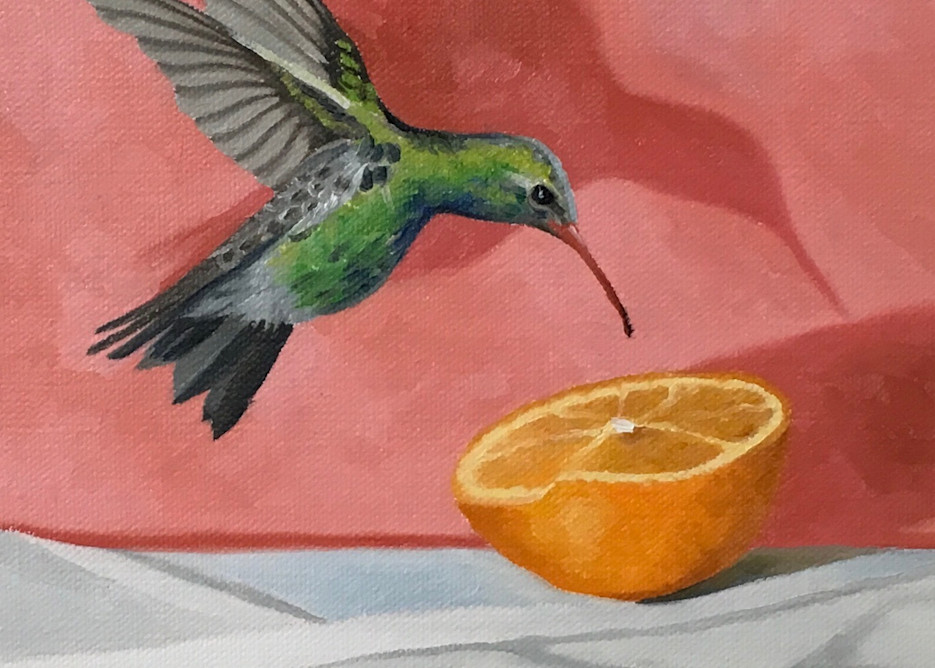 Hummingbird Art | Suzanne Aulds Studio