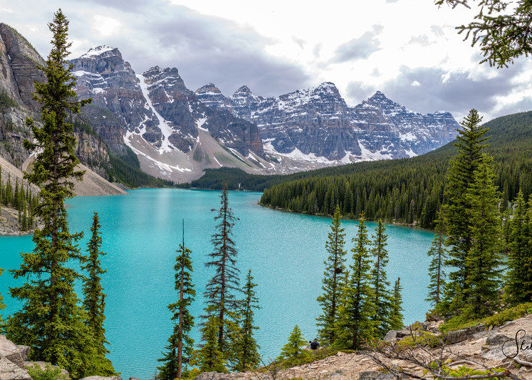 Moraine Lake   Panoramic Photography Art | Shelly Priest Photography