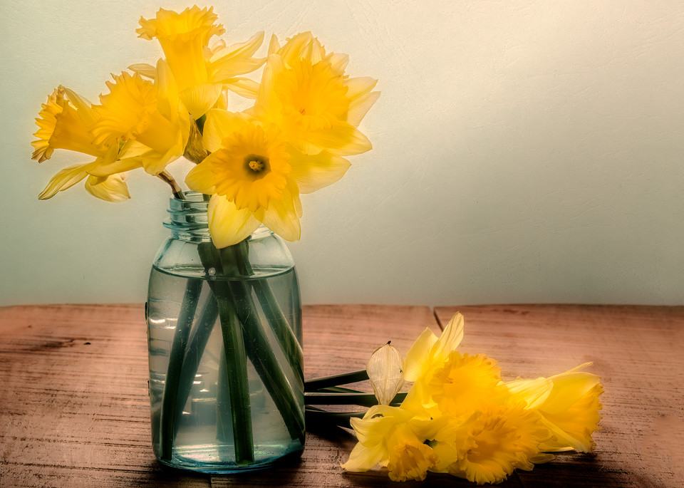 Daffodils in a Blue Jar Art | Shop Prints | Zigzag Mt Art