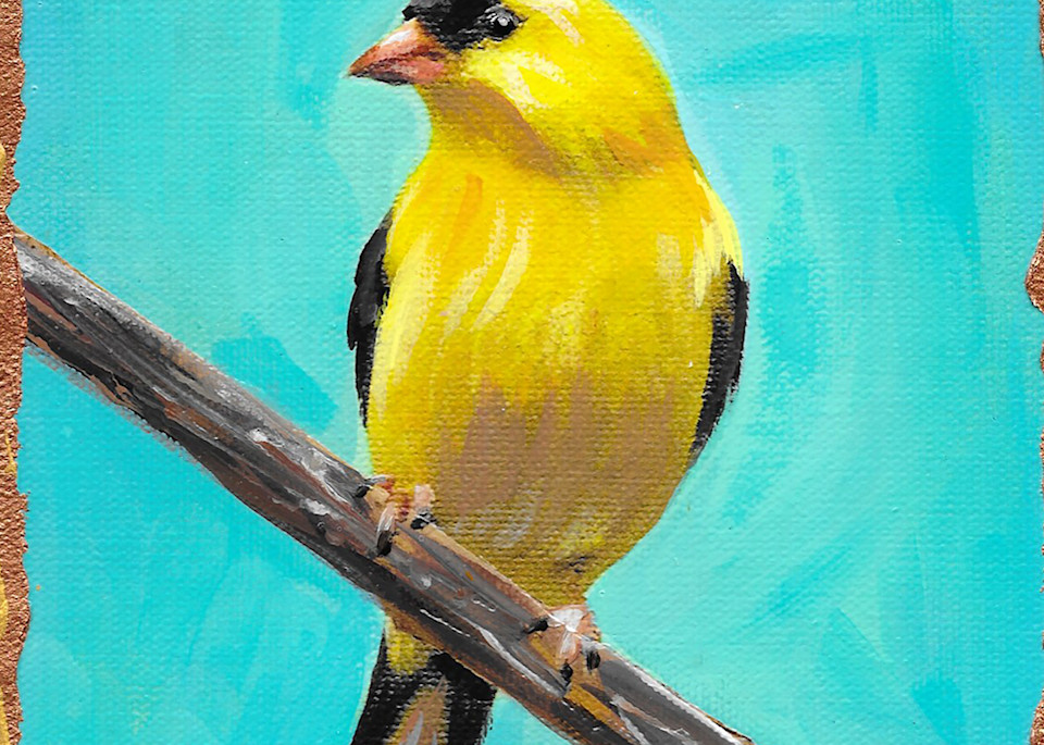 American Goldfinch Art | Channe Felton Fine Art