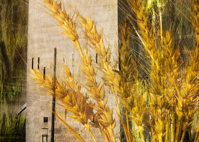 Grain Elevator Art | Shop Prints | Zigzag Mt Art
