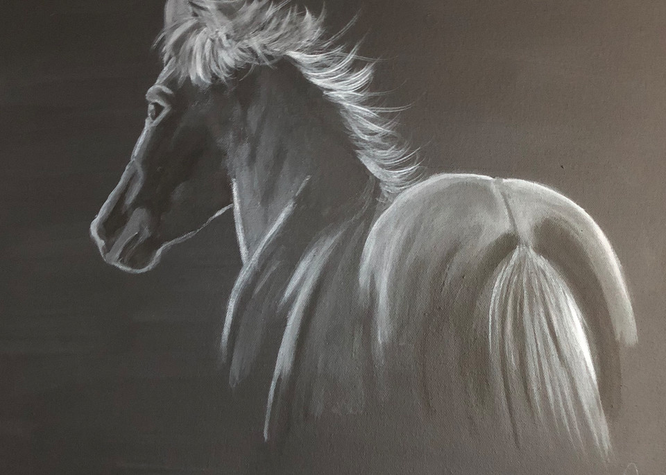 Open edition print of a horse titled”look in the shadows”