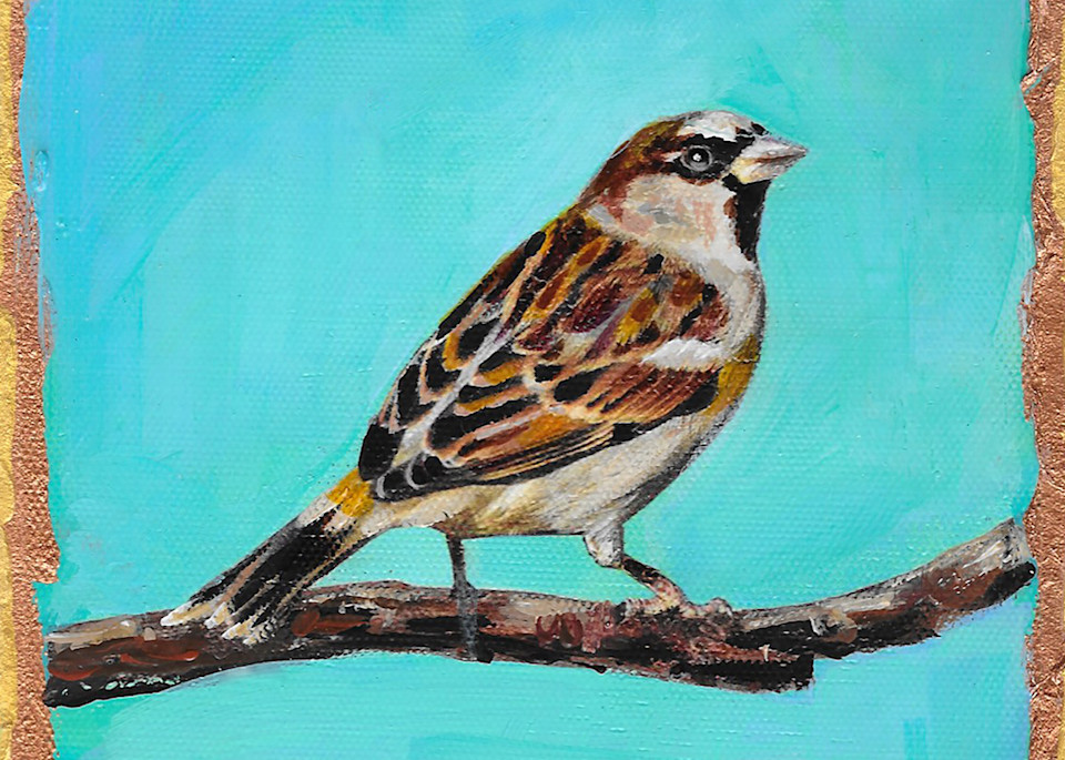 House Sparrow Art | Channe Felton Fine Art