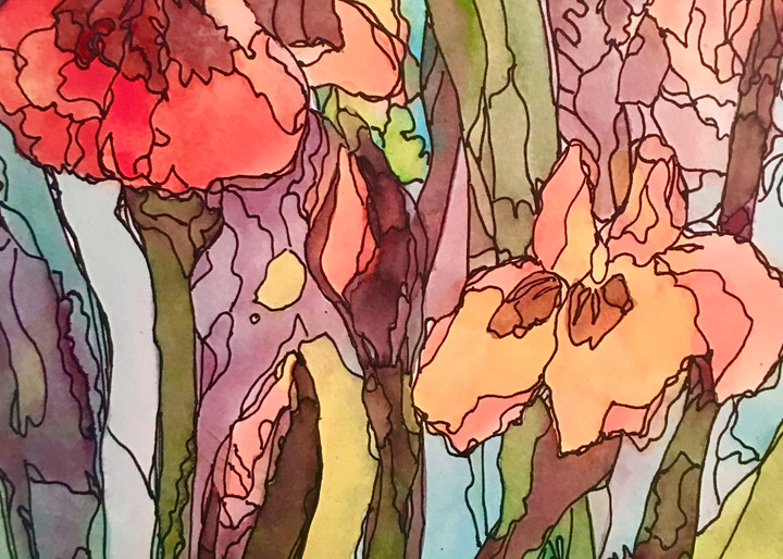 Peach Irises  Art | vibrant art studio, Art by Annette Dion McGowan