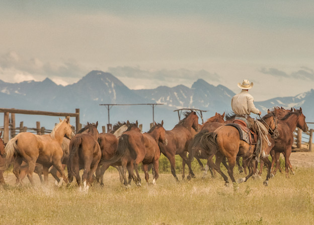 Should'a Ben A Cowboy  Photography Art | JL Grief Fine Art Photography