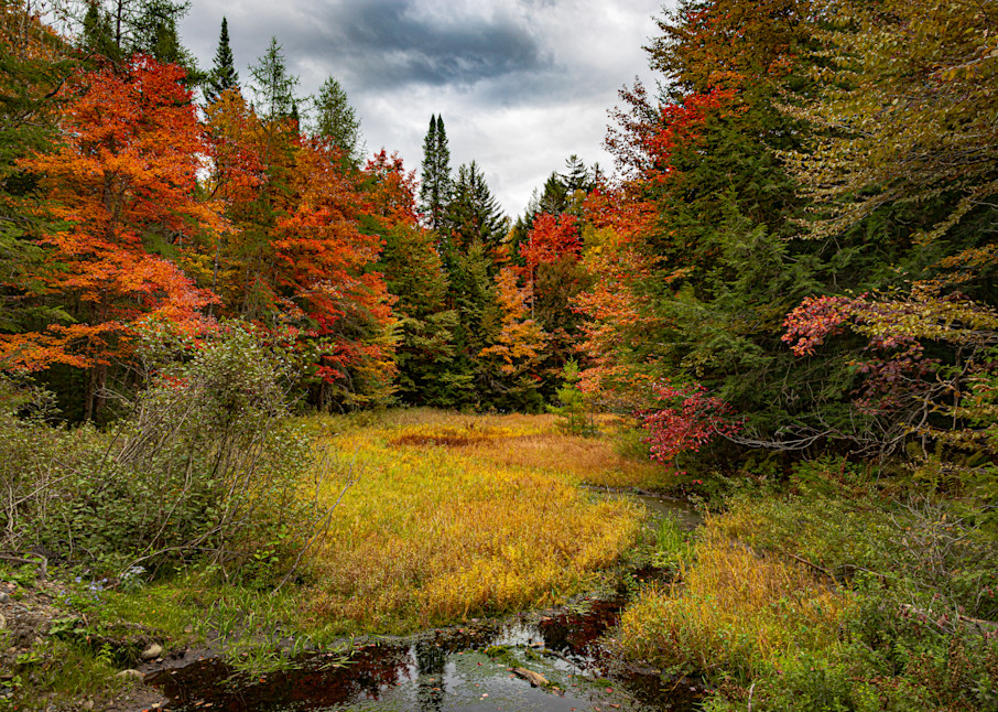 Adirondack Colors  Photography Art | Nelson Rudiak Photography 