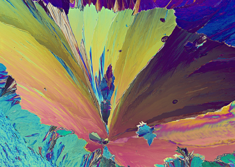 Sweet Floral (Vanillin Crystals) Art | Carol Roullard Art