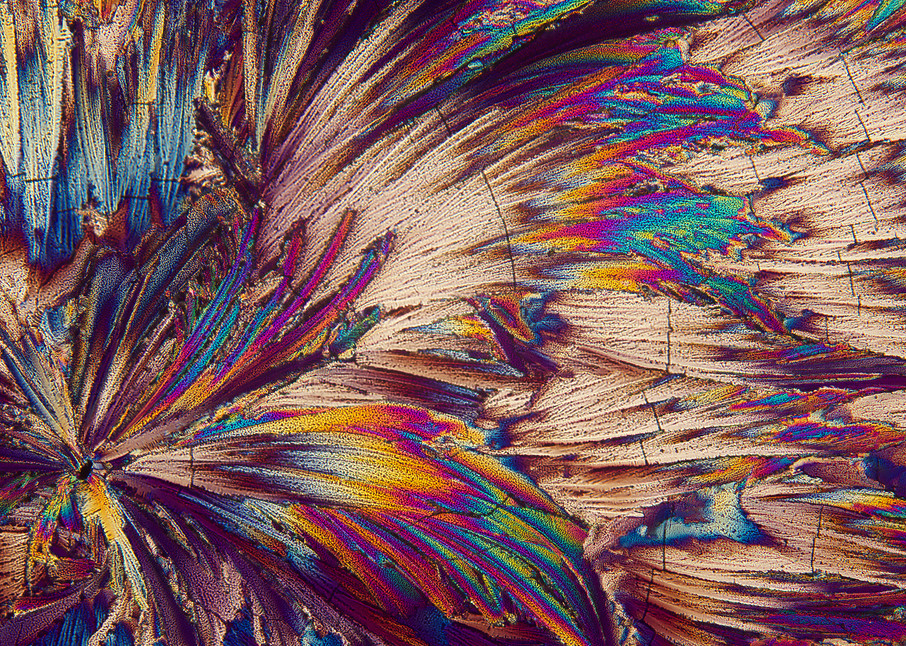 Feathers (Malic Acid Crystals) Art | Carol Roullard Art