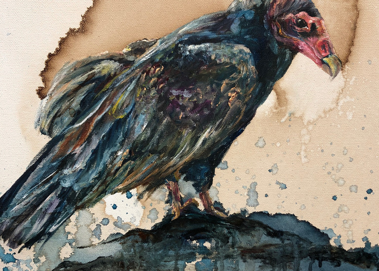 Vulture Art | Christy! Studios