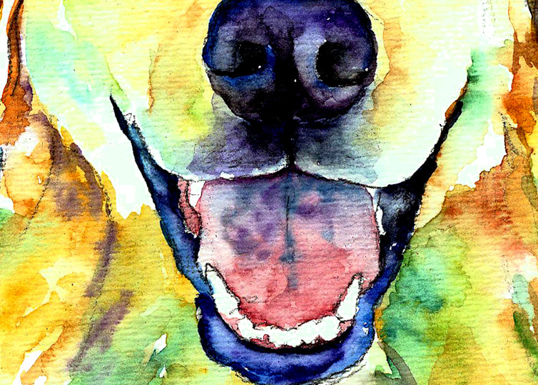 Golden Retriever Dog Smiling Art | Christy! Studios