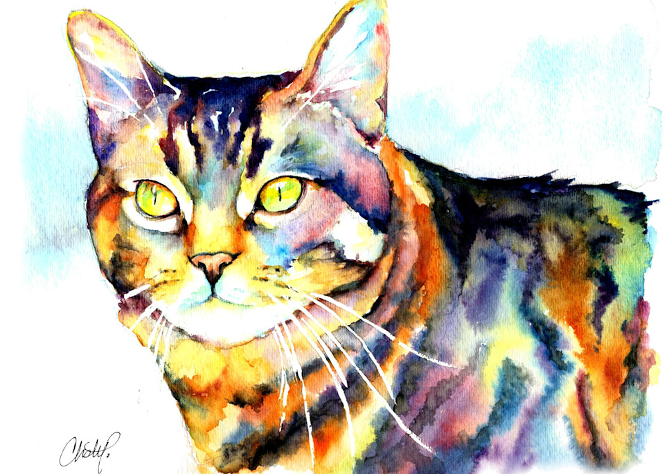 Punky The Tabby Cat Art | Christy! Studios