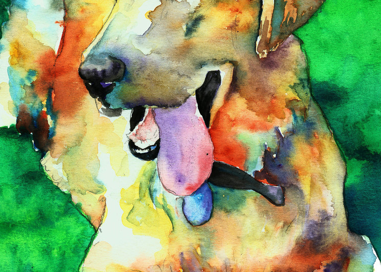 Golden Labrador Retriever  Art | Christy! Studios
