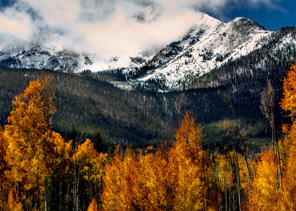 Image of Aspen in Snow Covered Colorado Mountains