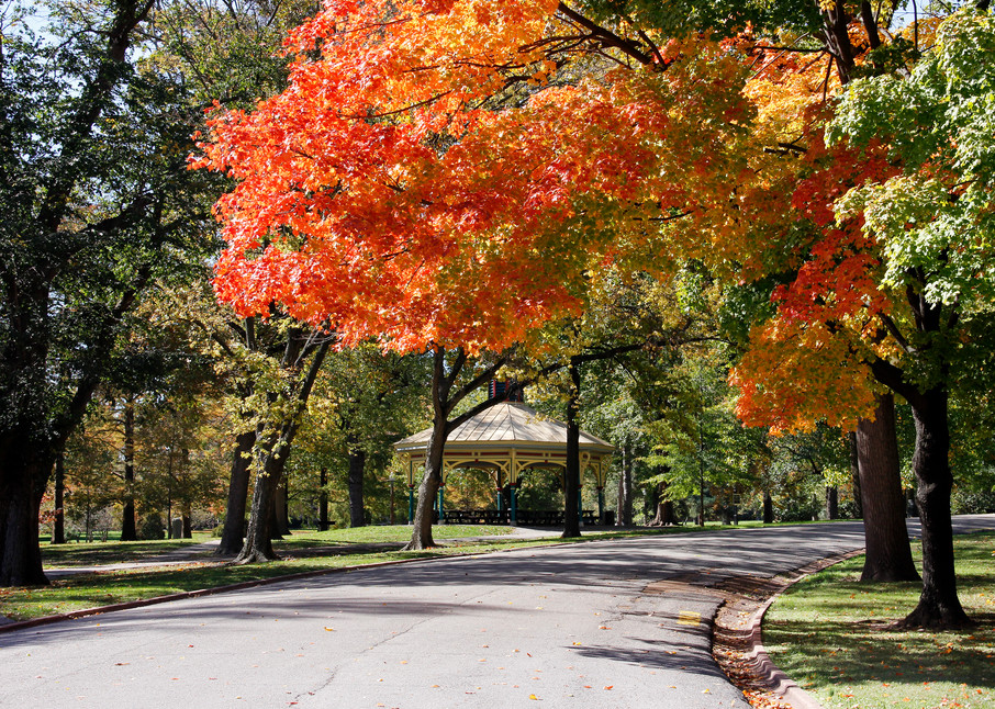 Fall at the Humboldt Pavilion in Tower Grove Park