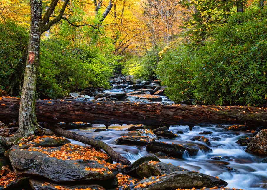 Smoky Mountains Refuge - Great Smoky Mountains National Park fine-art photography prints