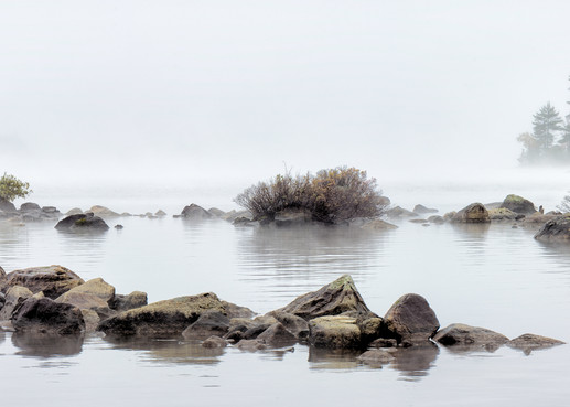 Misty Millinocket Lake