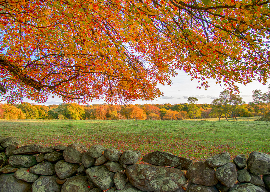 Middle Road Fall Leaves Stone Wall Art | Michael Blanchard Inspirational Photography - Crossroads Gallery