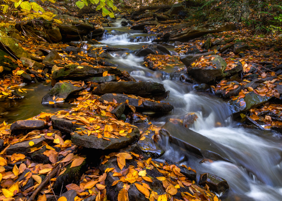 Autumn Flows Along Kitch Creek