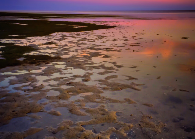 Low Tide Sunset In The Marshes Of St Marks Photography Art | Distant Light Studio