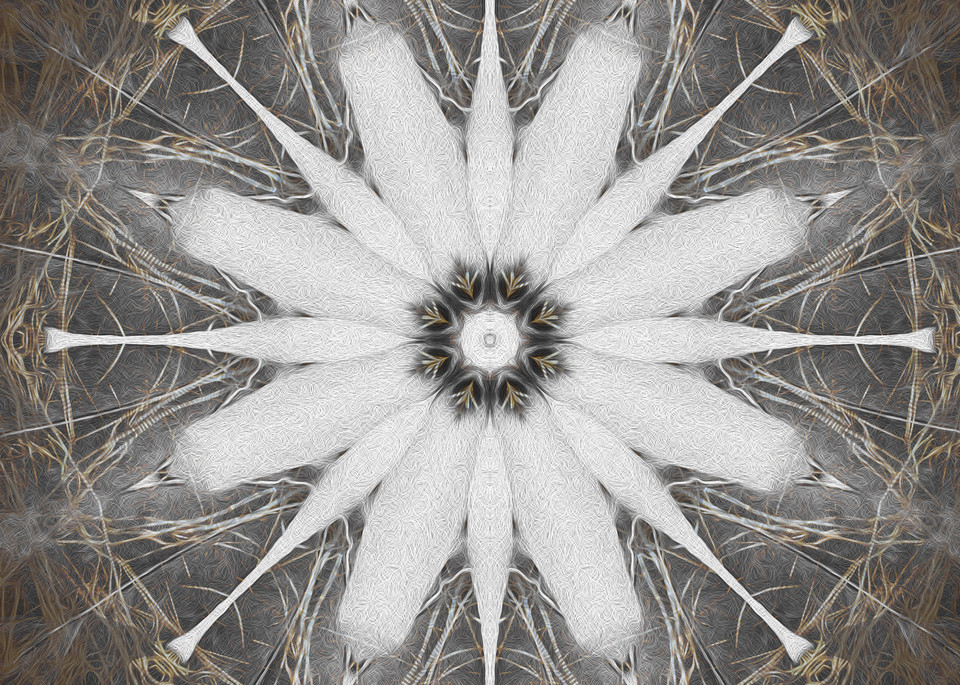 Nest & Hibiscus | Ghost Blossom Art | SkotoArt