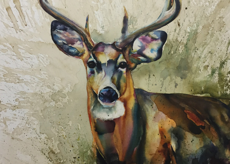 White Tailed Deer Watercolor  - Stag in Prairie