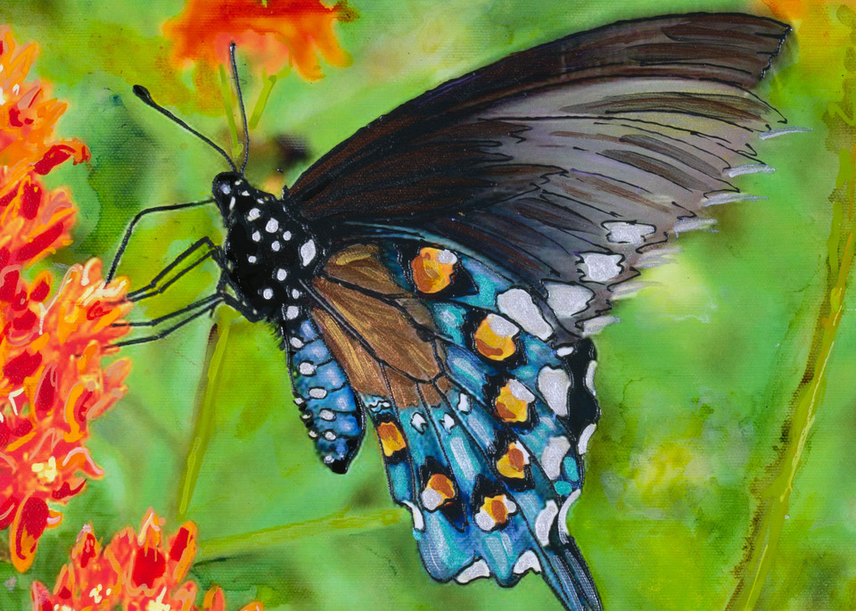Swallowtail Art | Channe Felton Fine Art