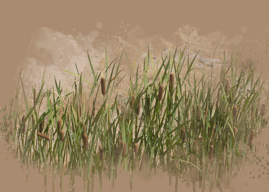 Cattails Art | Art from the Soul