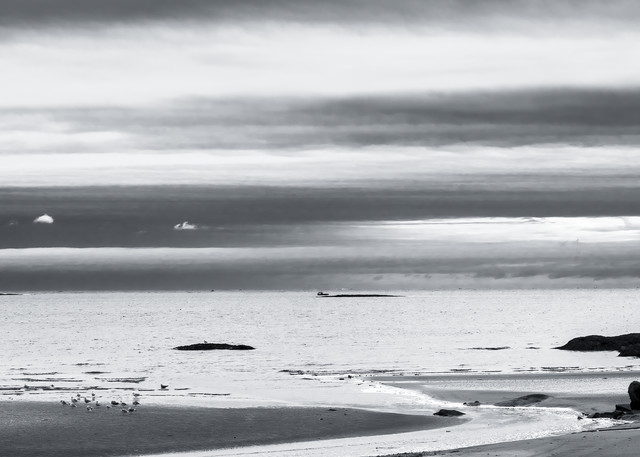 Grey Atlantic